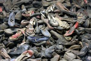 IMG_5312cedtd_119165b