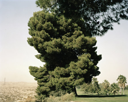 Marie-José Jongerius: Edges of the Experiment, Taft, CA, 2008