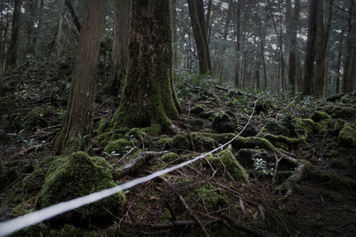 Pieter ten Hoopen: Japan, Suicide Forest