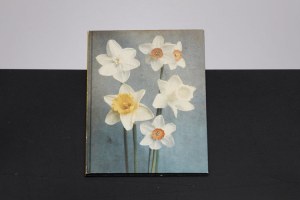 Tumbleweed: Leendert Blok & Niels Schumm, 1998 (Foto: Willem van Zoetendaal)