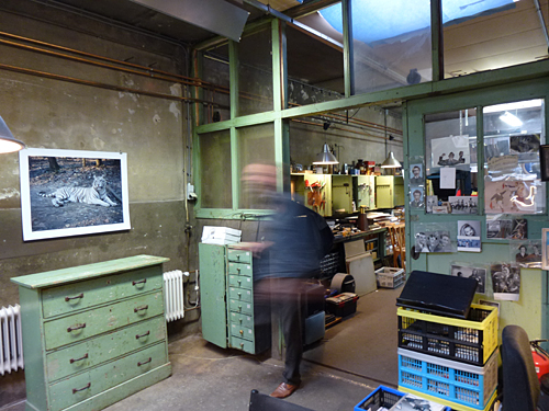 ICM, foto: Trendbeheer