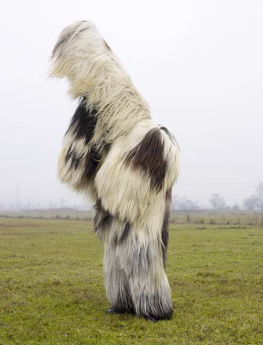 Charles Fréger: Babugeri, Basko, Bulgarije