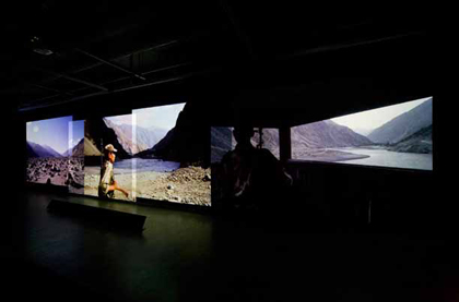 Mulitmedia-installatie van Poppy