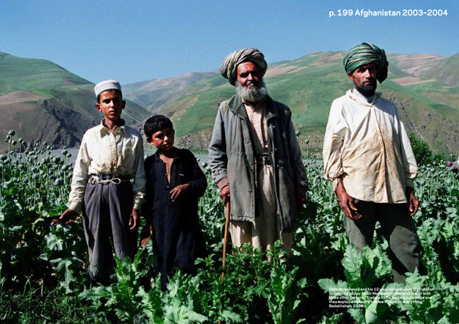 © Robert Knoth & Antoinette de Jong: Poppy