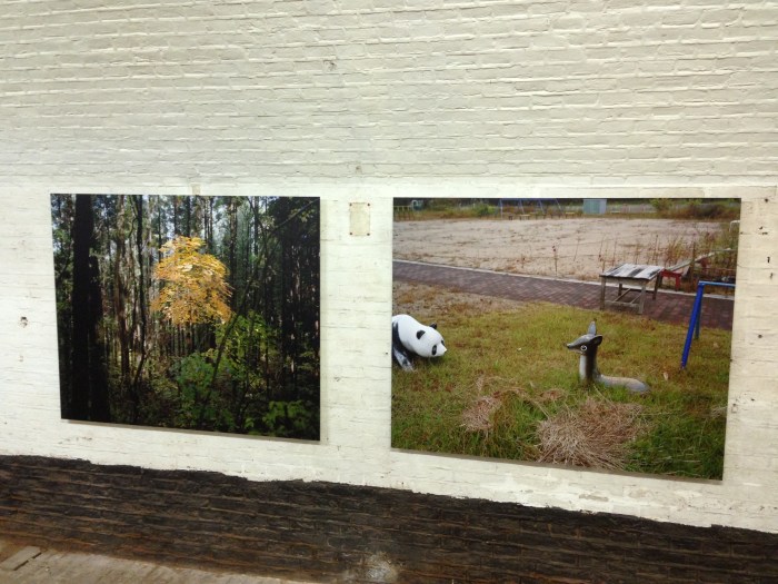 Fukushima, under the cherry blossom tree © Robert Knoth