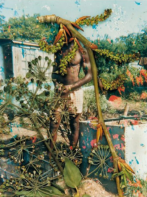 Hackney Flowers © Stephen Gill