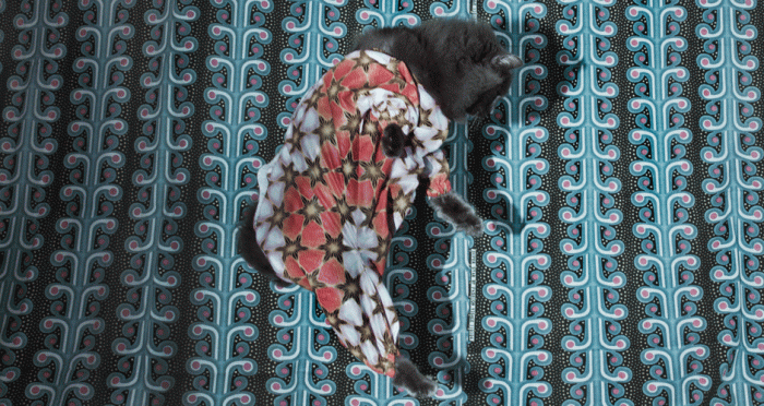 ©Cristina De Middel: Afronauts, 2012