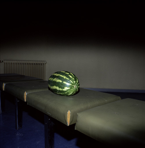 © Marnix Goossens Melon  1997 