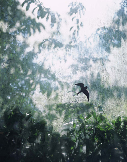 © Marnix Goossens Soundwall  2003 