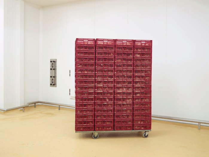 © Henk Wildschut: Wachtkamer. Verbeek Broederij en Opfok, Zeewolde, juli 2012