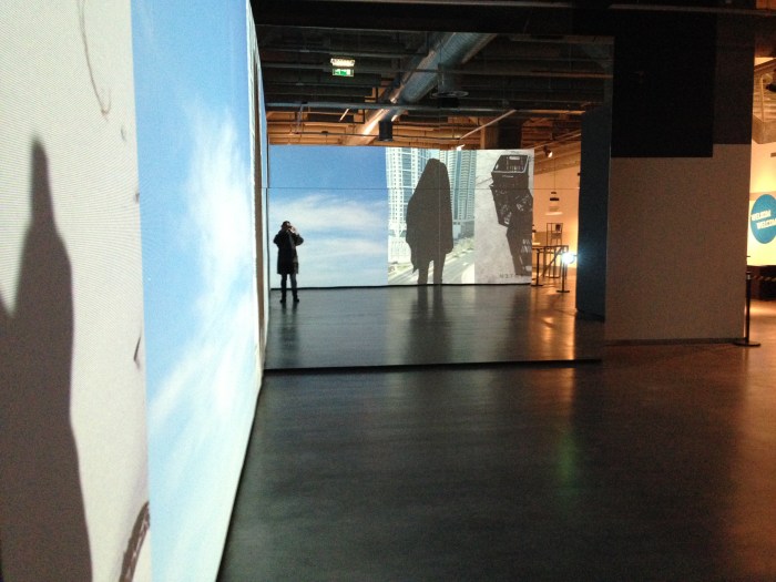 Viviane Sassen: Totem / UMBRA, 2014