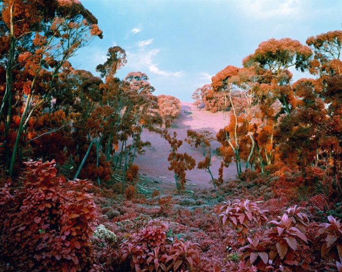 ©Richard Mosse: uit Infra, 2011