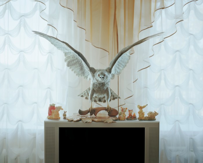 ©Jan Brykczynski / Sputnik Photos: Primeval Forest