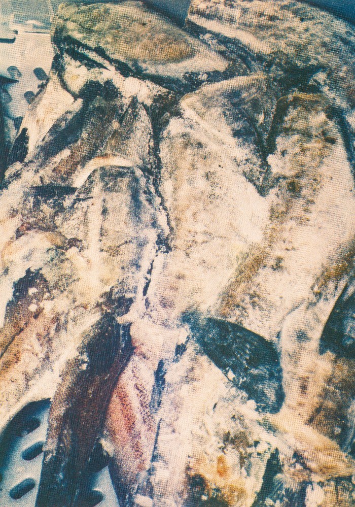 © Johannes Schwartz, uit Tiergarten, 2014