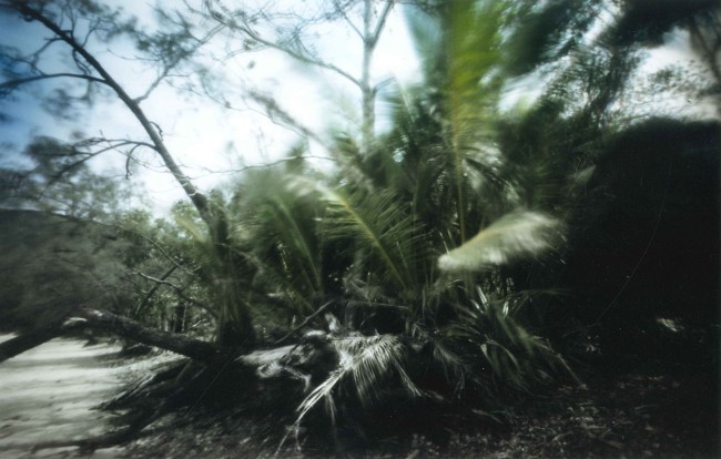 © Marrigje de Maar, Rendezvous, 2013