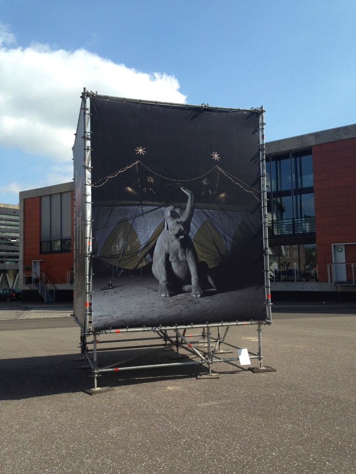 Wer uit de serie "Mimus van Wiesje Peels / Chassépark Breda