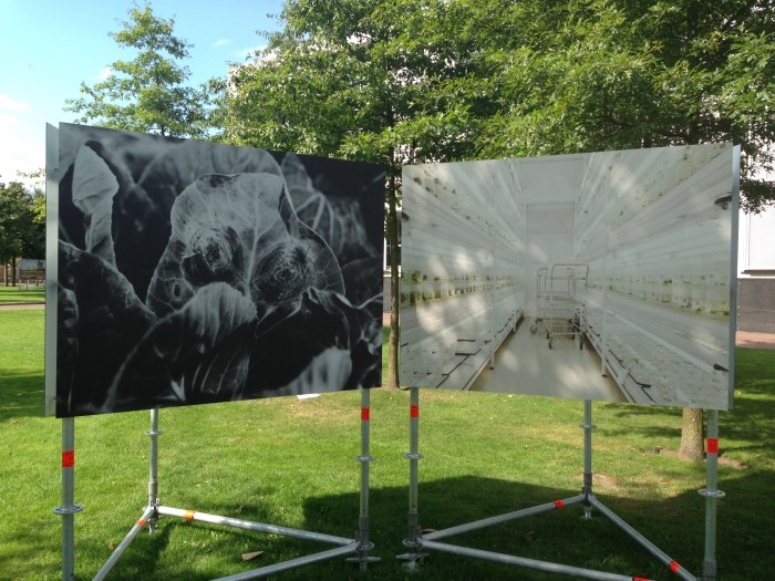 Seeds van Jos Jansen / BredaPhoto 2014