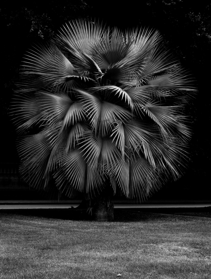 © Geert Goiris: Trope, 2013