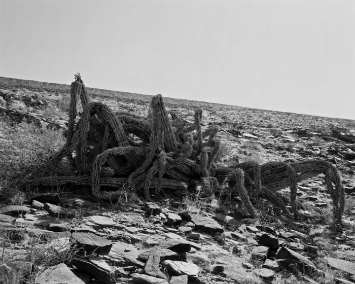 © Geert Goiris: Resonance #14 - CCTS