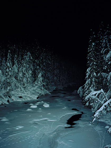 © Geert Goiris: Prophet