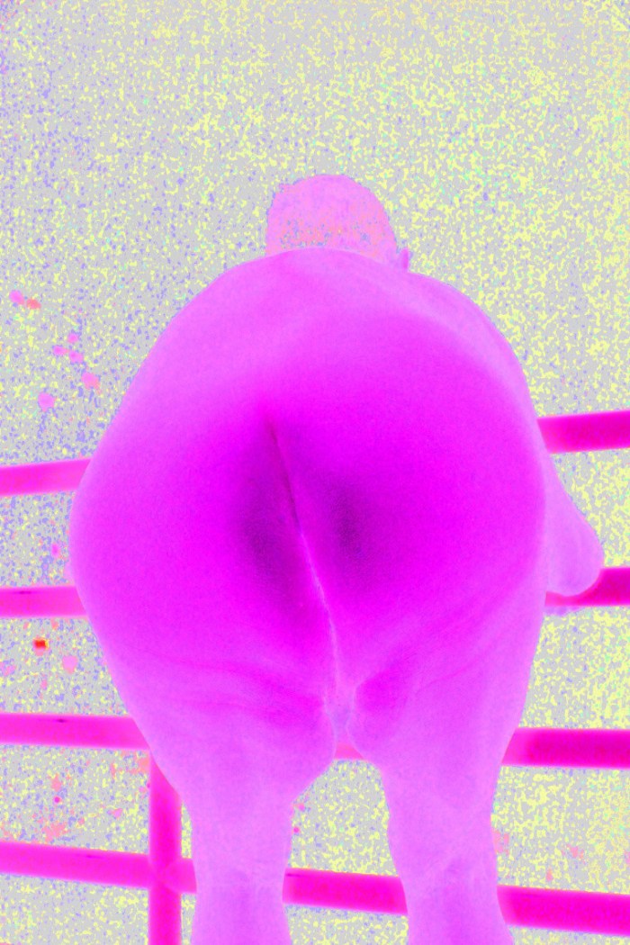 processed_cdf70c15420b9d88dd3a5e34ebd6adfc