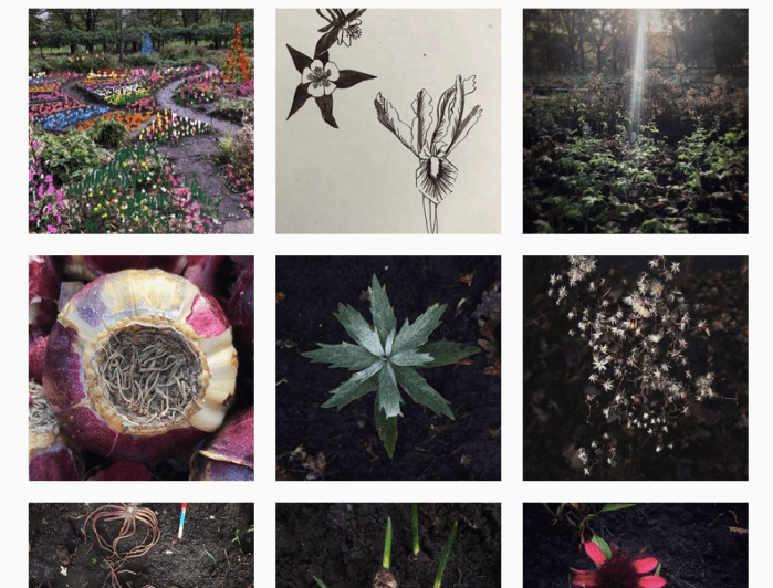 Screen Shot 2018-01-10 at 15.22.30