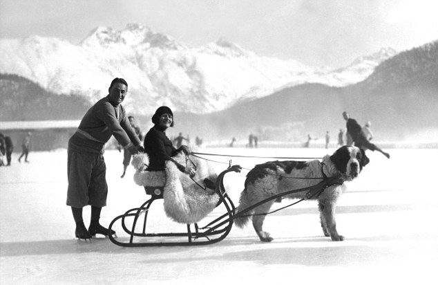 Chaplin, Sydney - Actor, Great Britain - - holidaying with his wife in a dog sled in St. Moritz, Switzerland - 1930 - V