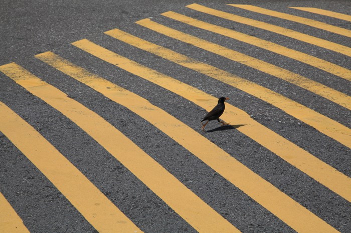 009representatieveafbeelding