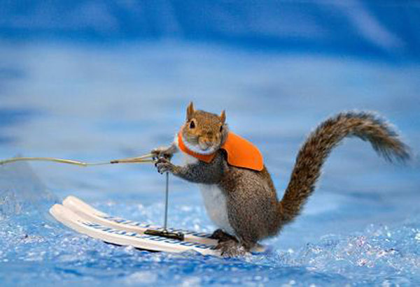 061212_agt_twiggy120612232704