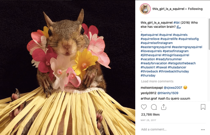 Screenshot 2018-10-07 at 13.28.57.png